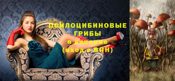 бутират Снежинск