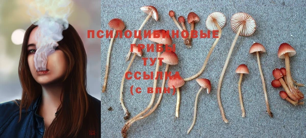 MDMA Premium VHQ Слюдянка