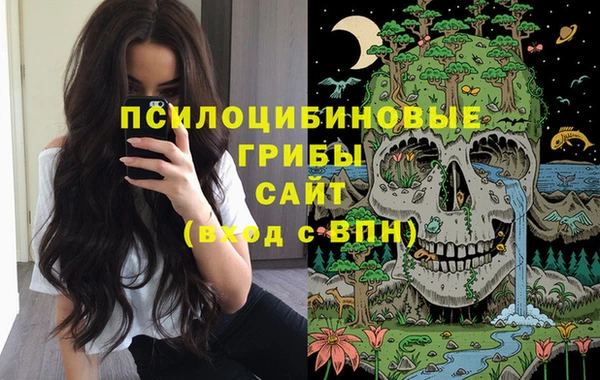 бутират Снежинск
