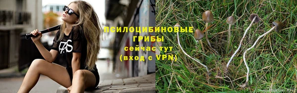 кокаин Снежногорск