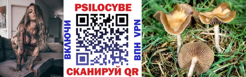 Галлюциногенные грибы мухоморы  дарнет шоп  кракен как войти  Торопец 