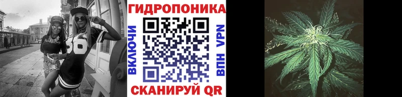 где найти   Торопец  Бошки марихуана сатива 